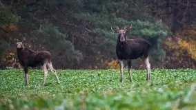 Jesienne Mazury na zdjęciach Staszka Sielewicza - zdjęcie 20