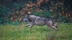 Jesienne Mazury na zdjęciach Staszka Sielewicza - zdjęcie 22