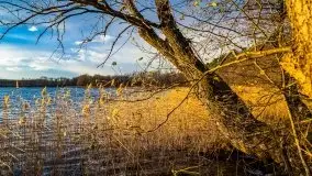 Zachód słońca i resztki jesieni nad jeziorem Ołów - zdjęcie 4