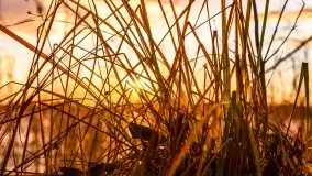 Zachód słońca i resztki jesieni nad jeziorem Ołów - zdjęcie 18