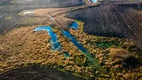 Jesień z lotu ptaka przy jeziorze Tałtowisko i kanale Grunwaldzkim - zdjęcie 20