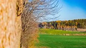 Listopadowe klimaty na bezdrożach Mazur - zdjęcie 13