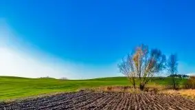 Listopadowe klimaty na bezdrożach Mazur - zdjęcie 23