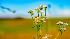 Listopadowe klimaty na bezdrożach Mazur - zdjęcie 8