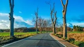 Listopadowe klimaty na bezdrożach Mazur - zdjęcie 28