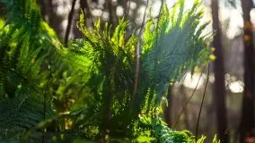 Leśne klimaty w okolicach Wydmin - zdjęcie 13