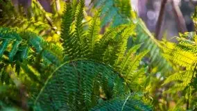 Leśne klimaty w okolicach Wydmin - zdjęcie 19