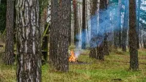 Miał być zachód słońca, a skończyło się na ognisku - zdjęcie 9