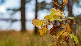 Miał być zachód słońca, a skończyło się na ognisku - zdjęcie 14