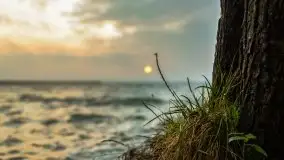 Wschód słońca przy moście Sztynorckim i jeziorze Dargin - zdjęcie 17