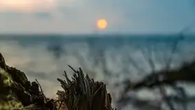 Wschód słońca przy moście Sztynorckim i jeziorze Dargin - zdjęcie 34