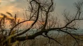 Wschód słońca przy moście Sztynorckim i jeziorze Dargin - zdjęcie 43