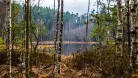 Krutynia i Nowy Mostek w grudniowych zdjęciach - zdjęcie 39