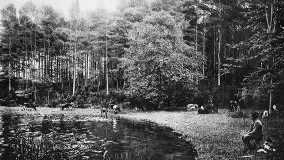 Przedwojenne zdjęcia Rucianego Nidy (Rudczanny, Niedersee) - zdjęcie 128