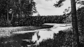 Przedwojenne zdjęcia Rucianego Nidy (Rudczanny, Niedersee) - zdjęcie 71