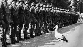 Przedwojenne zdjęcia Węgorzewa (Angerburg) - zdjęcie 157