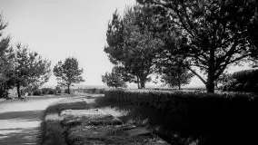 Przedwojenne zdjęcia Węgorzewa (Angerburg) - zdjęcie 221