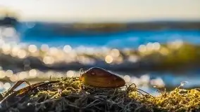 Wietrzne i jesienne jezioro Śniardwy, grudzień 2020 r. - zdjęcie 16