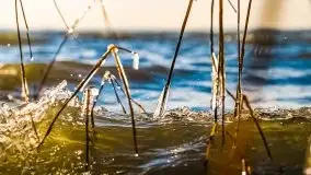 Wietrzne i jesienne jezioro Śniardwy, grudzień 2020 r. - zdjęcie 33