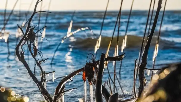 Wietrzne i jesienne jezioro Śniardwy, grudzień 2020 r.