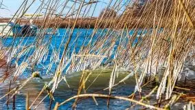 Wietrzne i jesienne jezioro Śniardwy, grudzień 2020 r. - zdjęcie 15