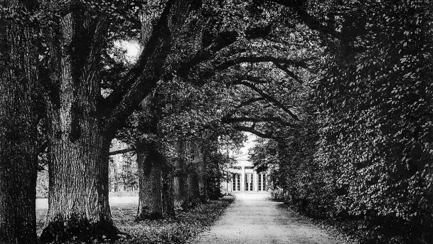 Przedwojenne zdjęcia Sztynortu (Steinort) - zdjęcie 8