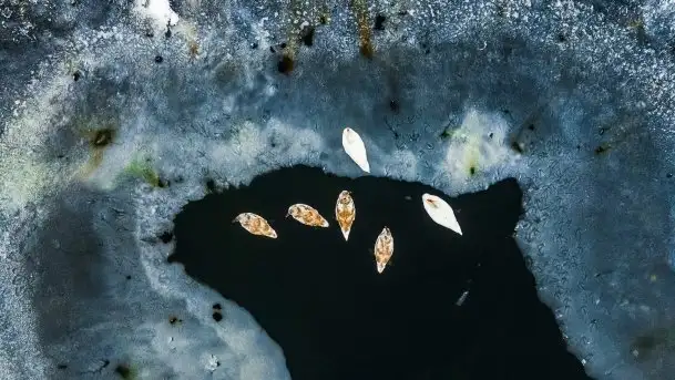 Zimowe i pochmurne kolory Mazur w okolicach Kruklanek - zdjęcie 9
