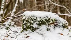 Zimowe i pochmurne kolory Mazur w okolicach Kruklanek - zdjęcie 13