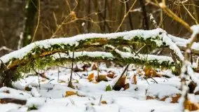 Zimowe i pochmurne kolory Mazur w okolicach Kruklanek - zdjęcie 53