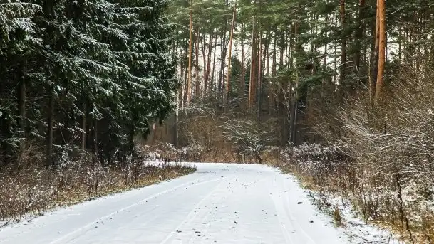 Zimowe i pochmurne kolory Mazur w okolicach Kruklanek - zdjęcie 10