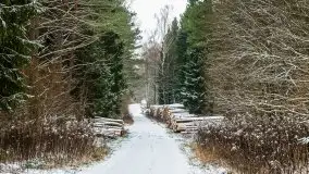 Zimowe i pochmurne kolory Mazur w okolicach Kruklanek - zdjęcie 29