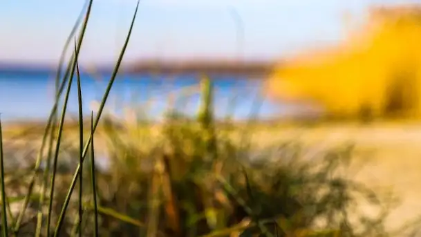 Późno jesienne jezioro Śniardwy i Okartowo 2020 r. - zdjęcie 4