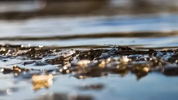 Późno jesienne jezioro Śniardwy i Okartowo 2020 r. - zdjęcie 3