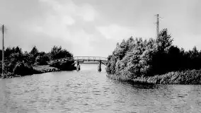 Przedwojenne zdjęcia Rydzewa (Rydzewen, Rotwalde) - zdjęcie 20