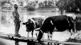 Przedwojenne zdjęcia Mrągowa (Sensburg) - zdjęcie 93