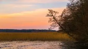 Wschód słońca nad jeziorem Gołdopiwo - zdjęcie 7
