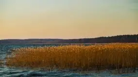 Wschód słońca nad jeziorem Gołdopiwo - zdjęcie 40