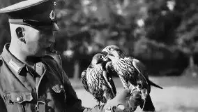 Przedwojenne zdjęcia Szczytna (Ortelsburg) - zdjęcie 71