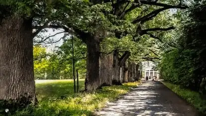 Przedwojenne pokolorowane zdjęcia Sztynortu (Steinort)