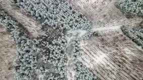 Posypało na Mazurach - zobacz okolice wsi Gajrowskie i Orłowo - zdjęcie 4