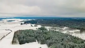 Posypało na Mazurach - zobacz okolice wsi Gajrowskie i Orłowo - zdjęcie 36