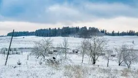 Posypało na Mazurach - zobacz okolice wsi Gajrowskie i Orłowo - zdjęcie 14