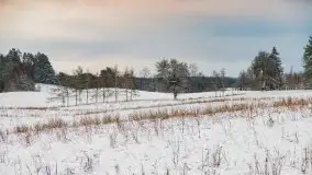 Posypało na Mazurach - zobacz okolice wsi Gajrowskie i Orłowo - zdjęcie 23