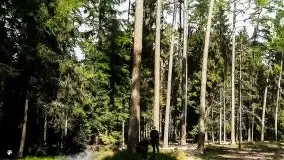 Przedwojenne kolorowe zdjęcia Pisza (Johannisburg) - zdjęcie 43