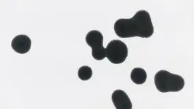 Miłośnicy Mazur - zimowe zdjęcia Szczytna - zdjęcie 15