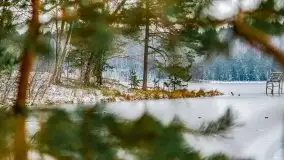 Zima nad jeziorem Wesołek, okolice Rucianej Nidy - zdjęcie 21