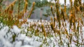 Zima nad jeziorem Wesołek, okolice Rucianej Nidy - zdjęcie 45