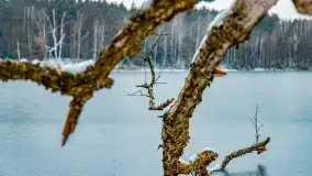 Zima nad jeziorem Wesołek, okolice Rucianej Nidy - zdjęcie 57