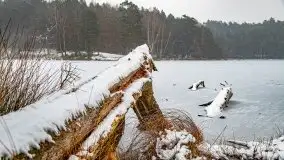 Zima nad jeziorem Wesołek, okolice Rucianej Nidy - zdjęcie 61