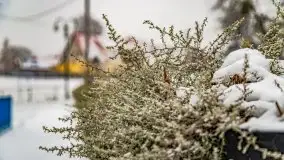 Zimowa szarówka w Rucianem-Nidzie - zdjęcie 6